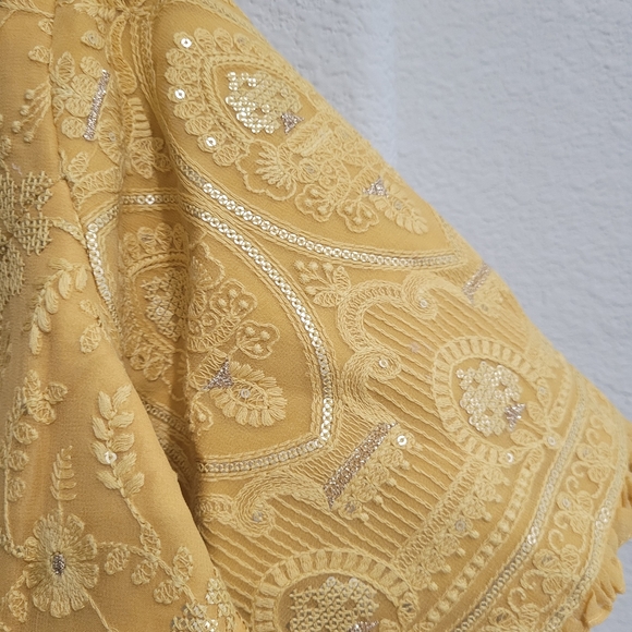 Pure Organza Silk gotta parti sari/ saree with tassels + blouse - Picture 6 of 8